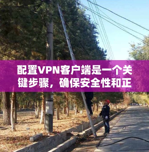 配置VPN客户端是一个关键步骤,确保安全性和正确连接。以下是详细的配置步骤 配置VPN客户端是一个关键步骤,确保安全性和正确连接。以下是详细的配置步骤