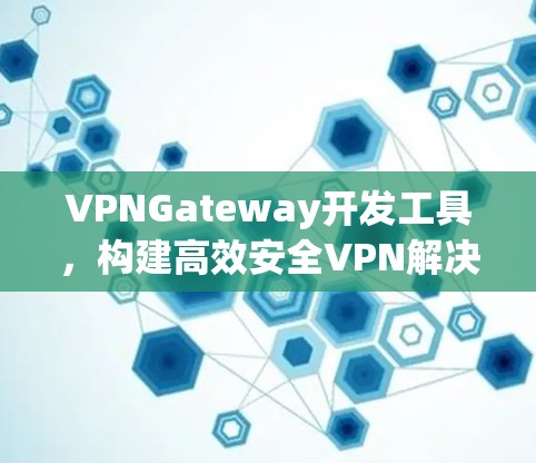 VPNGateway开发工具，构建高效安全VPN解决方案