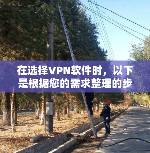 在选择VPN软件时，以下是根据您的需求整理的步骤和建议