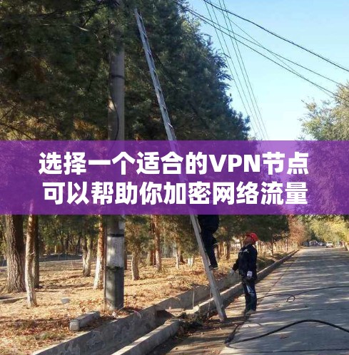 选择一个适合的VPN节点可以帮助你加密网络流量，保护隐私。以下是根据您的需求总结的选择建议