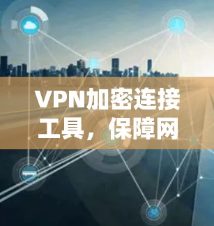 VPN加密连接工具,保障网络安全的利器
