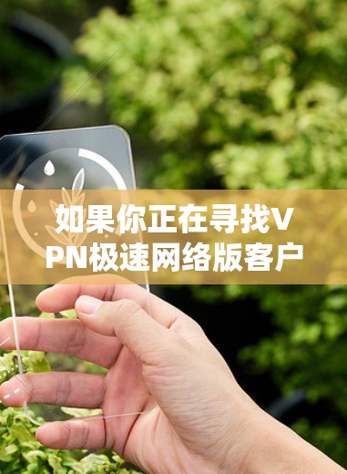 如果你正在寻找VPN极速网络版客户端的信息，以下是一些可能的解释和建议