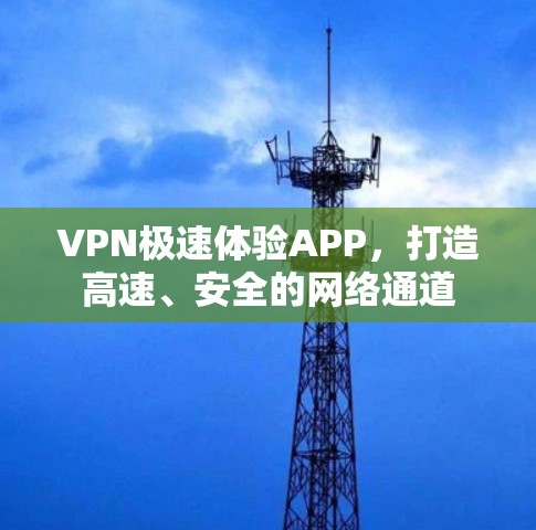 VPN极速体验APP，打造高速、安全的网络通道