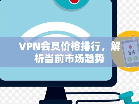 VPN会员价格排行，解析当前市场趋势