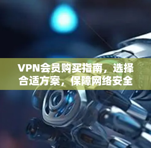 VPN会员购买指南，选择合适方案，保障网络安全
