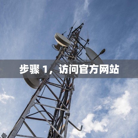 步骤 1，访问官方网站