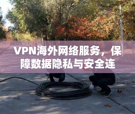 VPN海外网络服务，保障数据隐私与安全连接