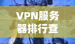 VPN服务器排行查询，助力企业网络安全与稳定