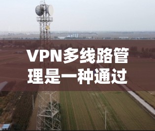 VPN多线路管理是一种通过多条独立的连接路线来确保网络连通性和安全性的策略,主要用于提升网络的可靠性和性能。以下是对多线路管理的详细分析和总结 VPN多线路管理是一种通过多条独立的连接路线来确保网络连通性和安全性的策略,主要用于提升网络的可靠性和性能。以下是对多线路管理的详细分析和总结