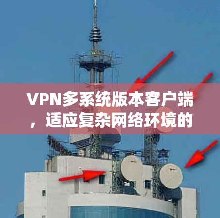 VPN多系统版本客户端，适应复杂网络环境的高效解决方案