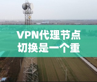 VPN代理节点切换是一个重要的操作，能够帮助用户优化网络性能和隐私保护。以下是详细的步骤指南，指导用户如何安全且有效地切换VPN代理节点