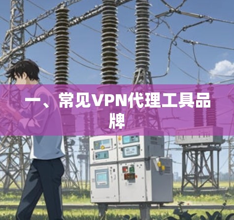 一、常见VPN代理工具品牌