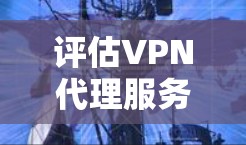 评估VPN代理服务器的连接速度是一个综合性的过程，涵盖了多个关键因素。以下是一个有条理的步骤指南，帮助您全面评估VPN代理服务器的连接速度