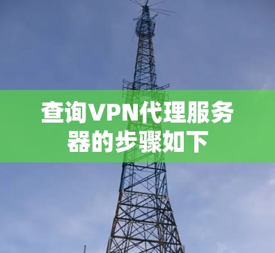 查询VPN代理服务器的步骤如下