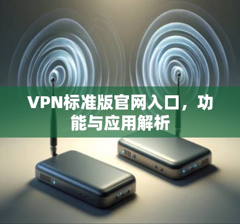 VPN标准版官网入口，功能与应用解析