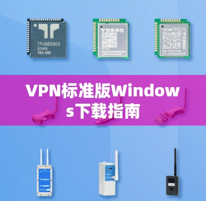 VPN标准版Windows下载指南