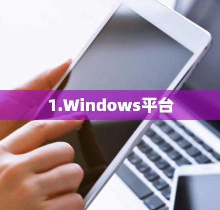 1.Windows平台