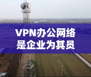 VPN办公网络是企业为其员工提供安全、可靠的网络访问方式的一种解决方案。以下是关于VPN办公网络的详细分步说明