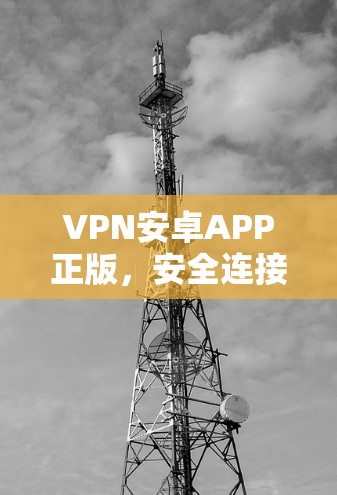 VPN安卓APP正版，安全连接无忧