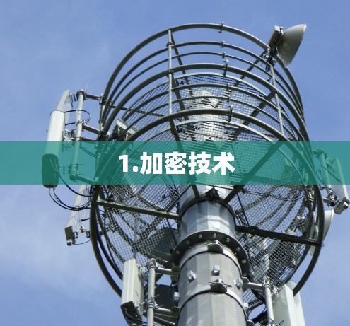 1.加密技术