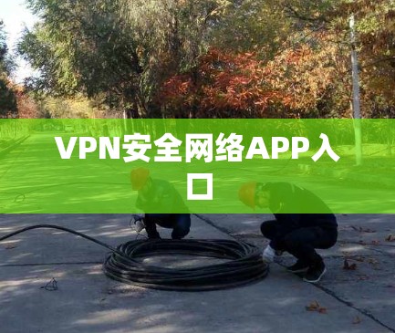 VPN安全网络APP入口