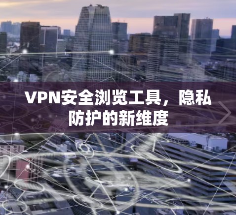 VPN安全浏览工具，隐私防护的新维度