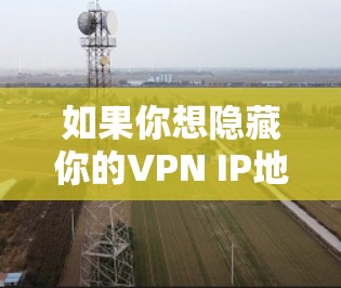 如果你想隐藏你的VPN IP地址，可以通过以下几种方法实现