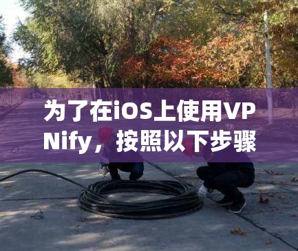 为了在iOS上使用VPNify，按照以下步骤操作