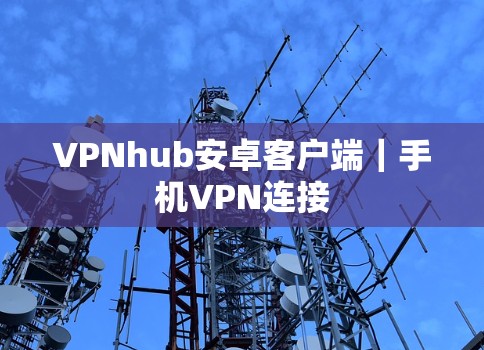 VPNhub安卓客户端|手机VPN连接 VPNhub安卓客户端|手机VPN连接