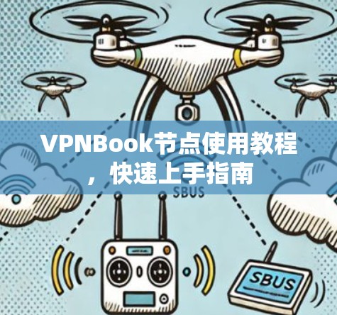 VPNBook节点使用教程，快速上手指南