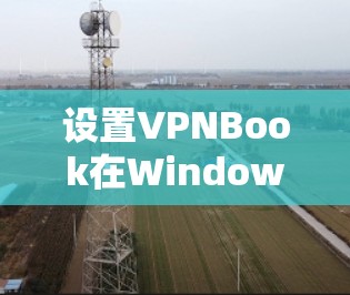 设置VPNBook在Windows电脑上的步骤如下