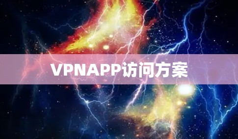 VPNAPP访问方案