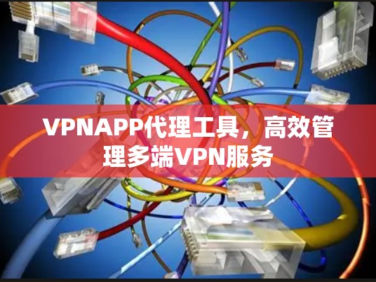 VPNAPP代理工具，高效管理多端VPN服务