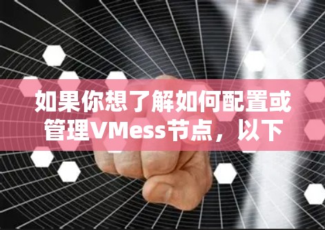 如果你想了解如何配置或管理VMess节点，以下是一些常见操作