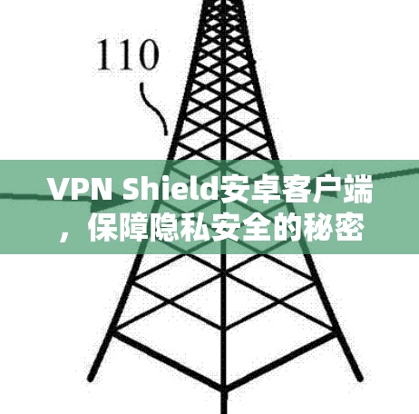 VPN Shield安卓客户端，保障隐私安全的秘密武器