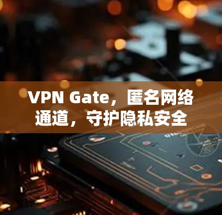 VPN Gate，匿名网络通道，守护隐私安全
