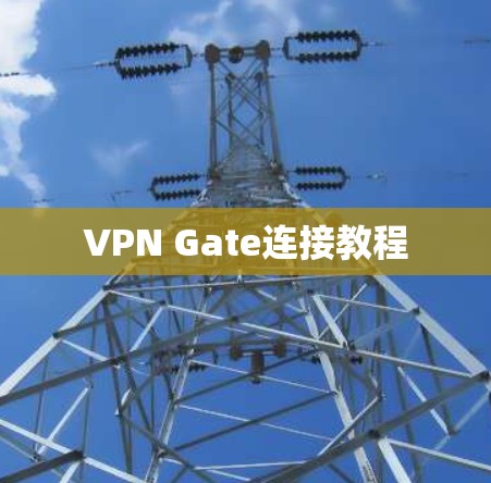 VPN Gate连接教程
