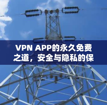 VPN APP的永久免费之道，安全与隐私的保障