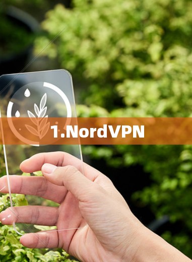 1.NordVPN