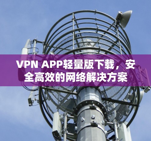 VPN APP轻量版下载，安全高效的网络解决方案