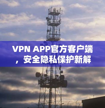 VPN APP官方客户端，安全隐私保护新解决方案
