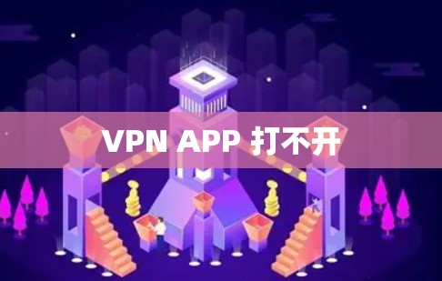 VPN APP 打不开