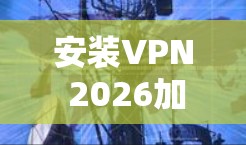 安装VPN 2026加速软件的步骤如下