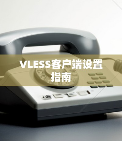 VLESS客户端设置指南
