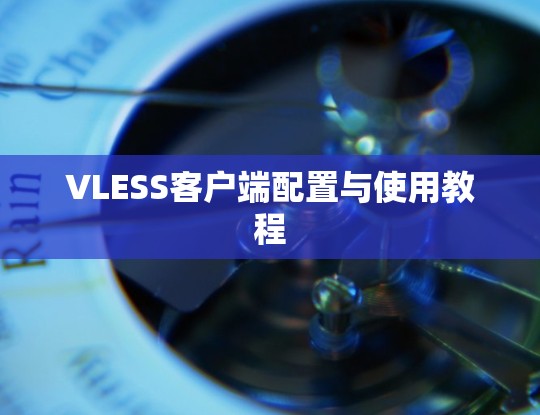 VLESS客户端配置与使用教程
