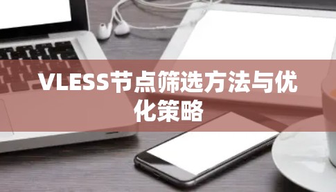 VLESS节点筛选方法与优化策略