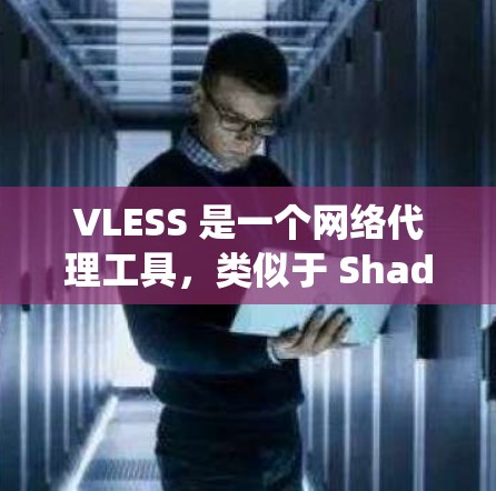 VLESS 是一个网络代理工具，类似于 Shadowsocks，用于绕过网络限制。以下是设置 VLESS 的基本规则和步骤