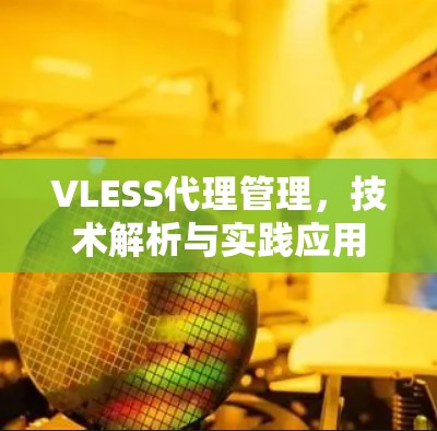 VLESS代理管理，技术解析与实践应用