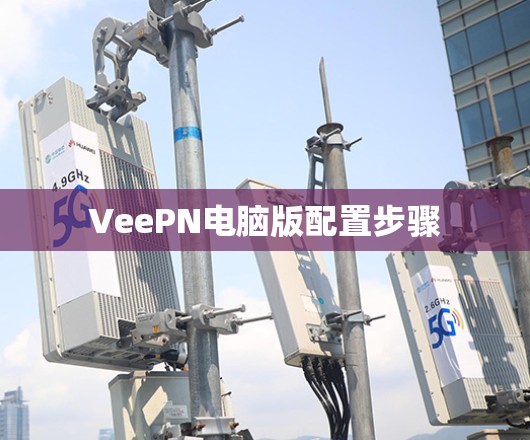 VeePN电脑版配置步骤