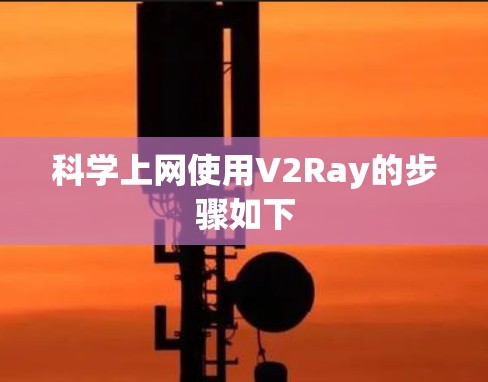 科学上网使用V2Ray的步骤如下